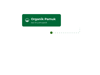 Organik Pamuk
